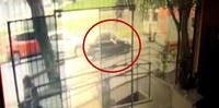 Imagem de câmera mostra carro suspeito passando e um braço jogando o artefato pela janela