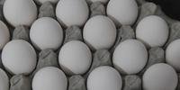 Mercado interno consome 1,3 mil ovos por segundo no Brasil