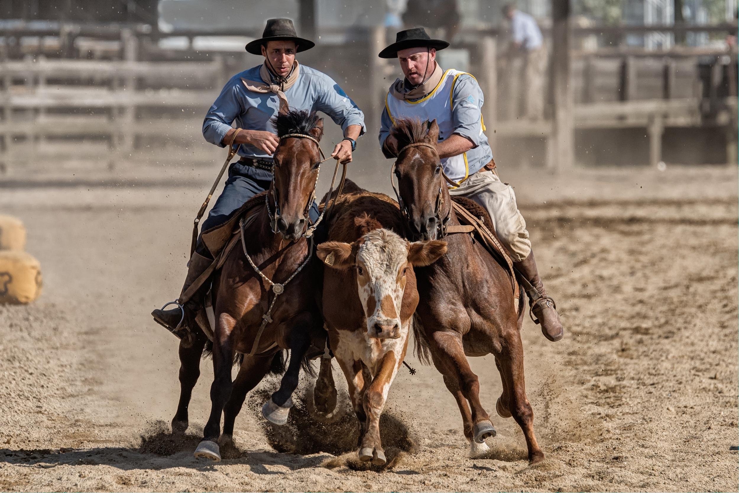 Prova tamb&eacute;m avalia rusticidade, for&ccedil;a e submiss&atilde;o do cavalo Crioulo