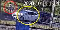 Acompanhada da criança, vítima (em vermelho) foi surpreendida pelos ocupantes de um carro sedan branco (em amarelo)