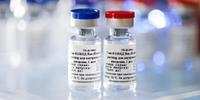 Brasil terá prioridade na distribuição da vacina russa