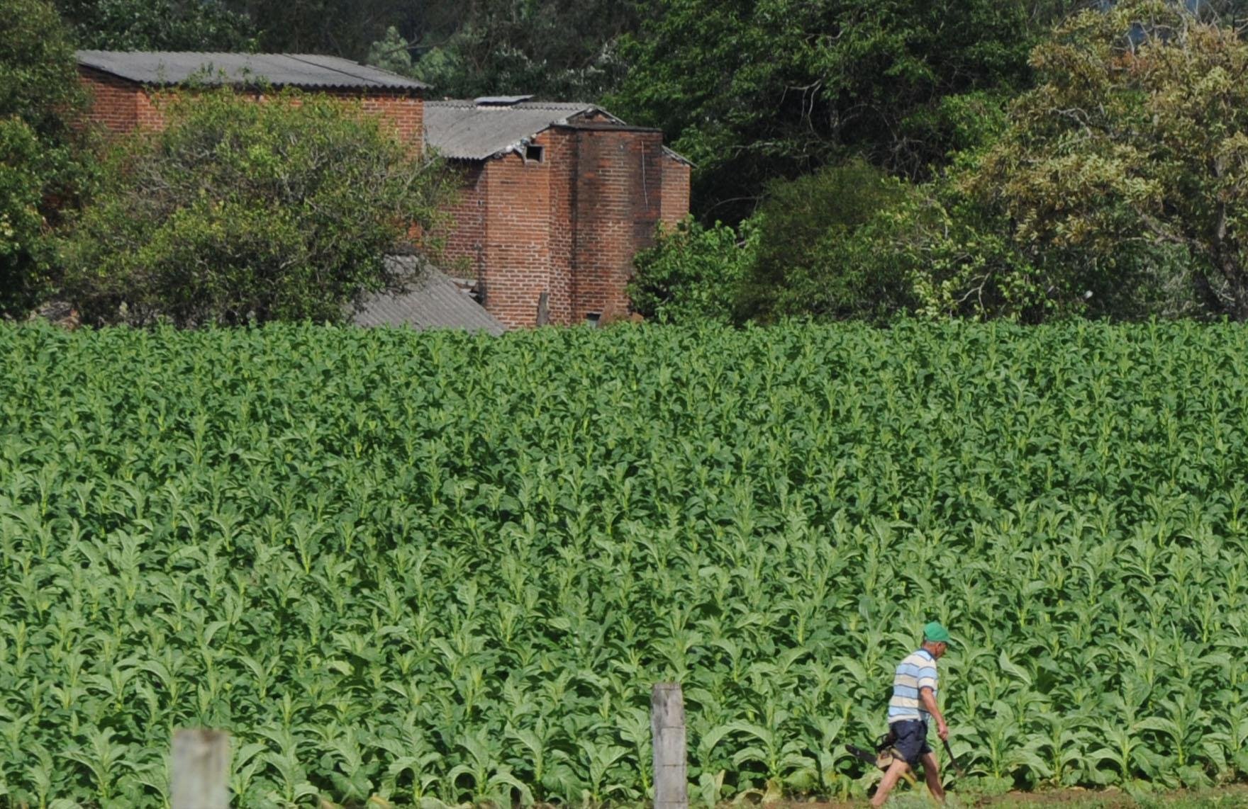 Direito Agr&aacute;rio &eacute; o ramo do Direito estuda as rela&ccedil;&otilde;es entre o homem e a propriedade rural