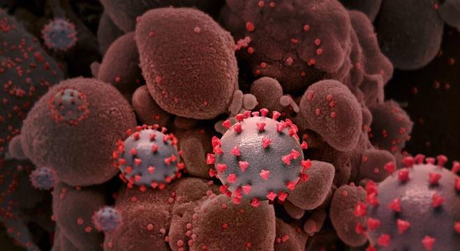 Cerca de 20% a 30% dos pacientes hospitalizados com Covid-19 podem ter quadro grave