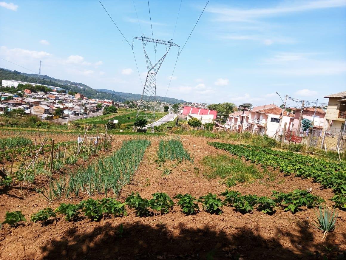 A feira com produtos da Horta Comunit&aacute;ria ocorre nas quintas-feiras no p&oacute;rtico do Centro Administrativo Municipal