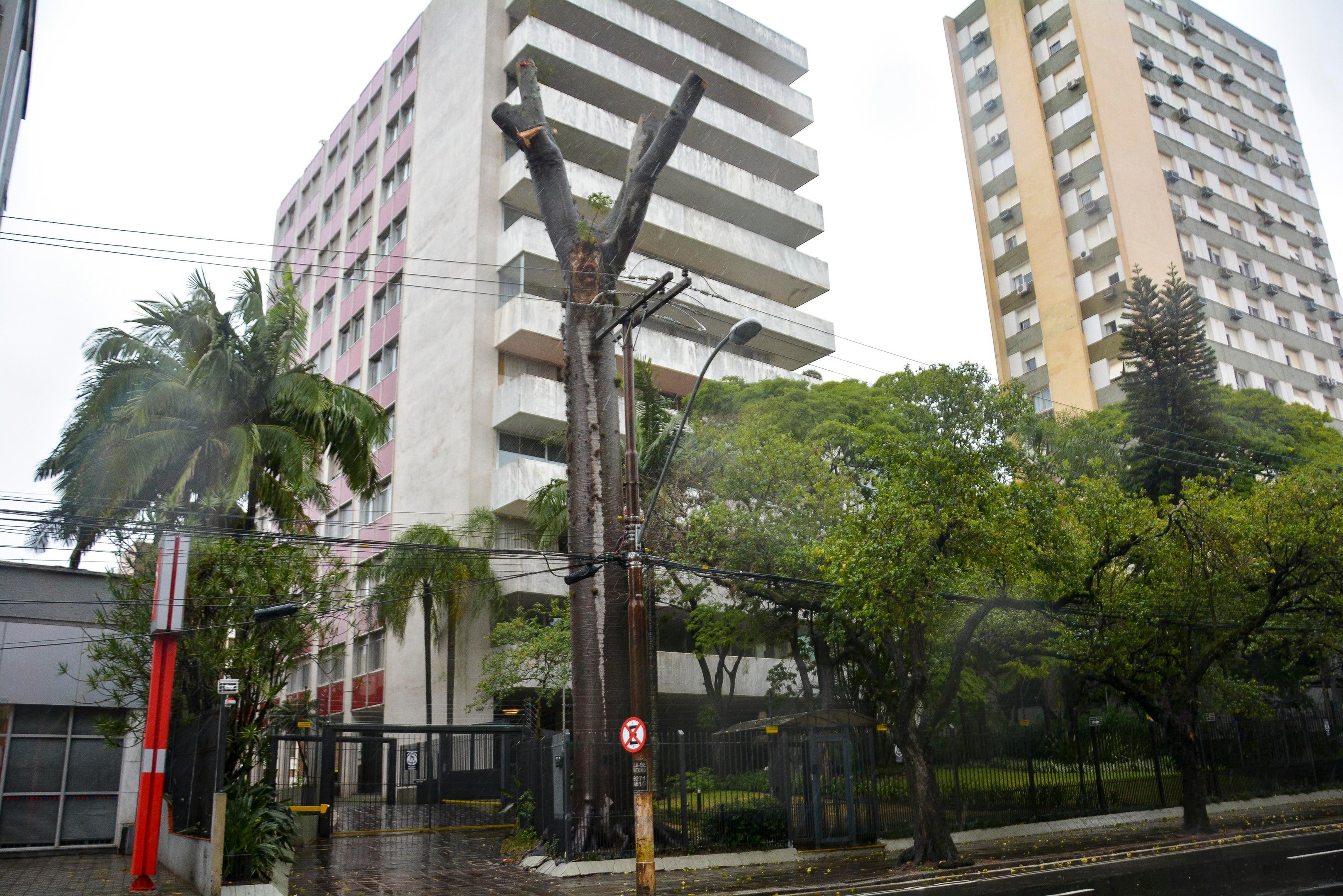 Moradores e volunt&aacute;rios lutam pela da preserva&ccedil;&atilde;o das esp&eacute;cies