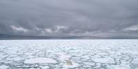 Superfície de gelo do Ártico registra menor nível para o mês outubro