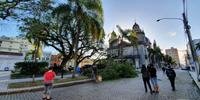 Com a queda, a árvore ficou desestabilizada com inclinação em direção a Catedral São Francisco de Paula