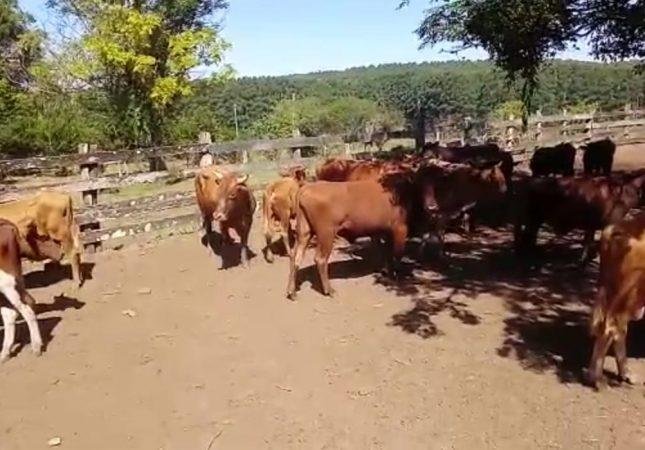 A premia&ccedil;&atilde;o a ser distribu&iacute;da entre as categorias soma R$ 7,1 mil