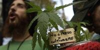 Até agora, a posse de sementes de cannabis era proibida