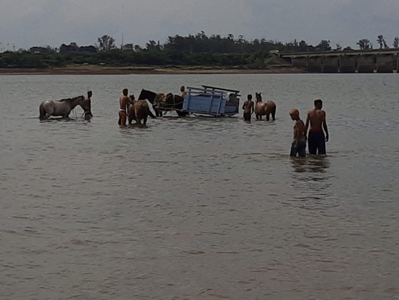 &Agrave;s margens do rio Uruguai, os carroceiros levam os animais para beber &aacute;gua e se refrescarem do calor