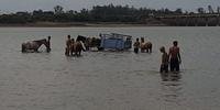 Às margens do rio Uruguai, os carroceiros levam os animais para beber água e se refrescarem do calor
