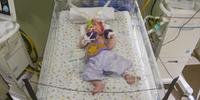 Bebês prematuros da UTI Neonatal do Hospital Divina Providência foram vestidos de lutadores para destacar o Novembro Roxo