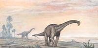 Intensa atividade vulcânica estabeleceu há 180 milhões de anos o domínio dos saurópodes, dinossauros de pescoço comprido