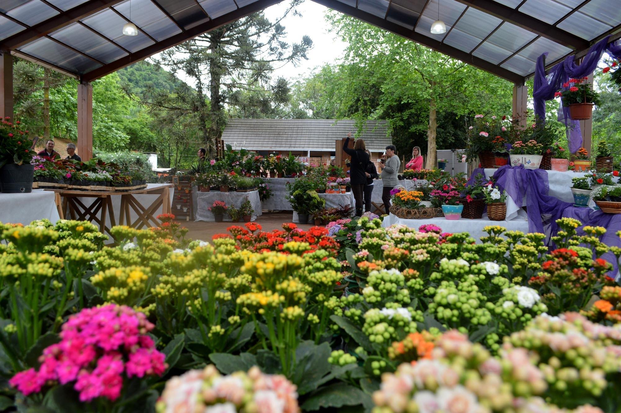 A Feira acontecer&aacute; no N&uacute;cleo de Casas Enxaimel, ao ar livre