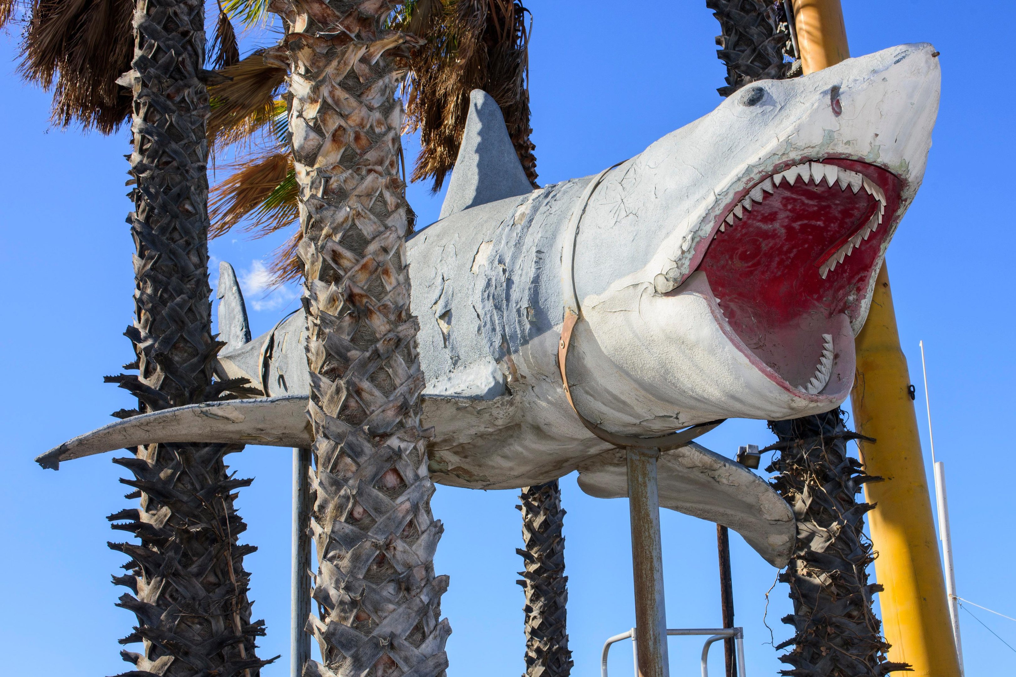 'Tubar&atilde;o' &eacute; instalado em Museu do Oscar em Los Angeles