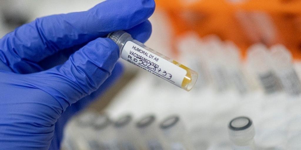 Cientistas da Organiza&ccedil;&atilde;o Mundial da Sa&uacute;de est&atilde;o trabalhando para entender as muta&ccedil;&otilde;es do v&iacute;rus