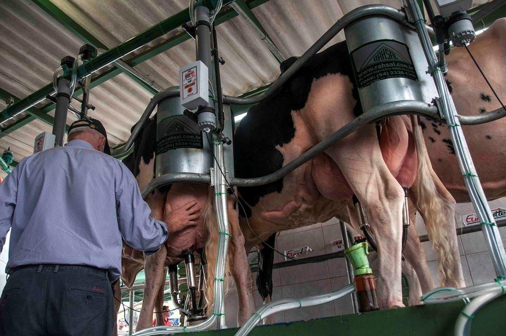 Estiagem interfere na coleta enquanto ver&atilde;o e pandemia influenciam o consumo