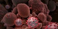 Ministério da Saúde anunciou que acompanha de perto detecção de nova cepa do coronavírus encontrada pela 1ª vez no Brasil