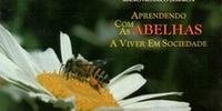 Apicultor há mais de dez anos, autor descreve o modo de viver das abelhas, sua dedicação ao trabalho, seu amor à hierarquia, e sua união com a família