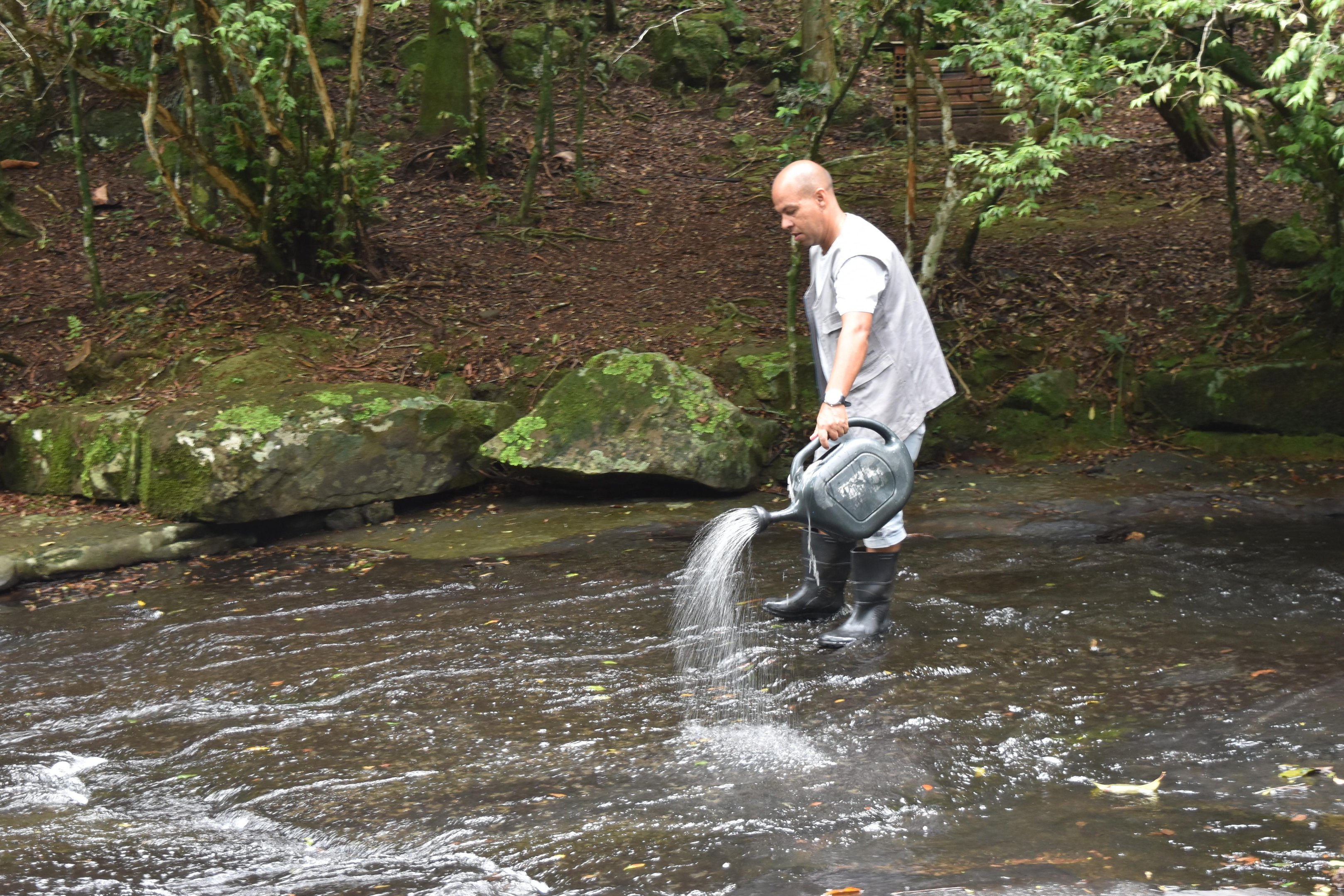 Larvicida biol&oacute;gico j&aacute; foi aplicado nos arroios e riachos do Morro Ferrabraz e demais localidades na zona rural