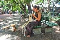 Além do "cão tatuado" Mustafá, a artesã Larissa Leal, do Piauí, tem ainda 16 cachorros e dois gatos e afirma que jamais faria maldades com animais - Foto: Alina Souza