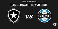 Botafogo já está matematicamente rebaixado para a Série B do Campeonato Brasileiro