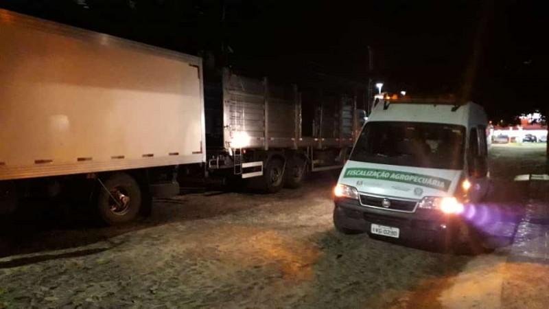 Opera&ccedil;&atilde;o foi realizada na madrugada de segunda-feira (8)