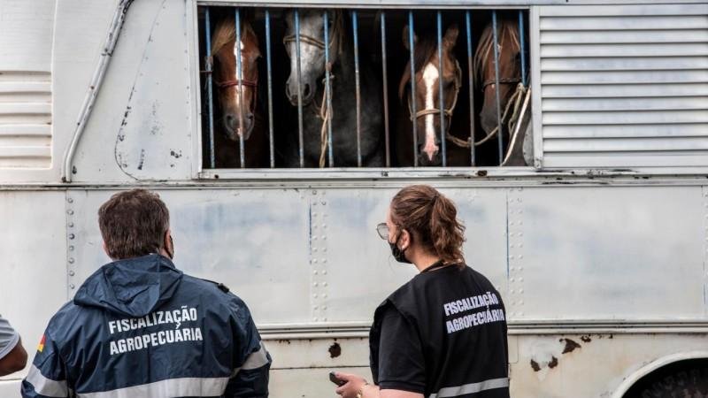 O objetivo da iniciativa &eacute; coibir entrada irregular de cargas