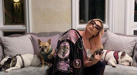 Lady Gaga com os tr&ecirc;s cachorrinhos