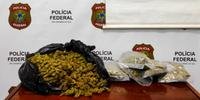 Droga encontrada com traficante foi avaliada em R$ 244 mil