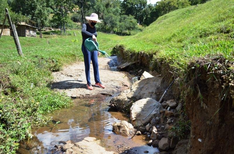 Para evitar a prolifera&ccedil;&atilde;o do mosquito, &eacute; necess&aacute;rio que os agricultores tomem diversas medidas