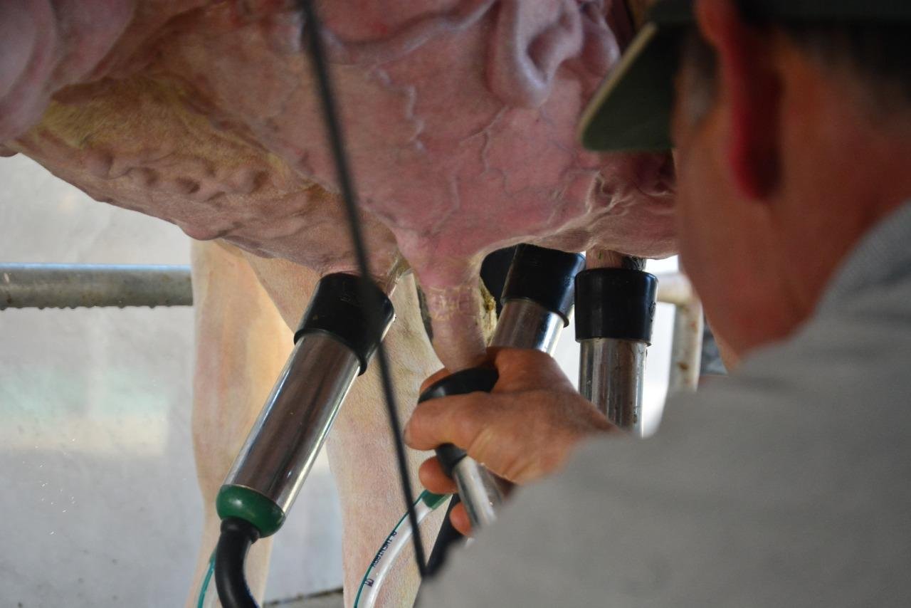 A lucratividade do produtor de leite est&aacute; menor