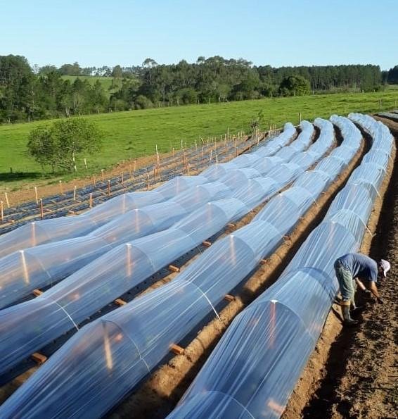 Produtores destacam que plataforma leva informa&ccedil;&otilde;es ao consumidor