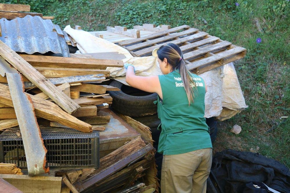 Caxias do Sul j&aacute; encontrou, neste ano, 92 focos de aedes aegypti na cidade