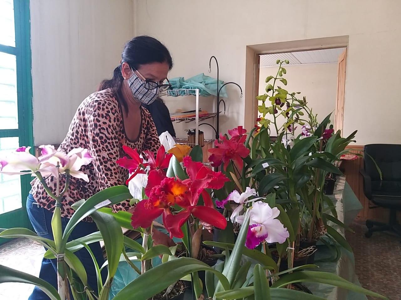 Os nove feirantes que atuam na Casa est&atilde;o organizando seus espa&ccedil;os pelo novo pr&eacute;dio