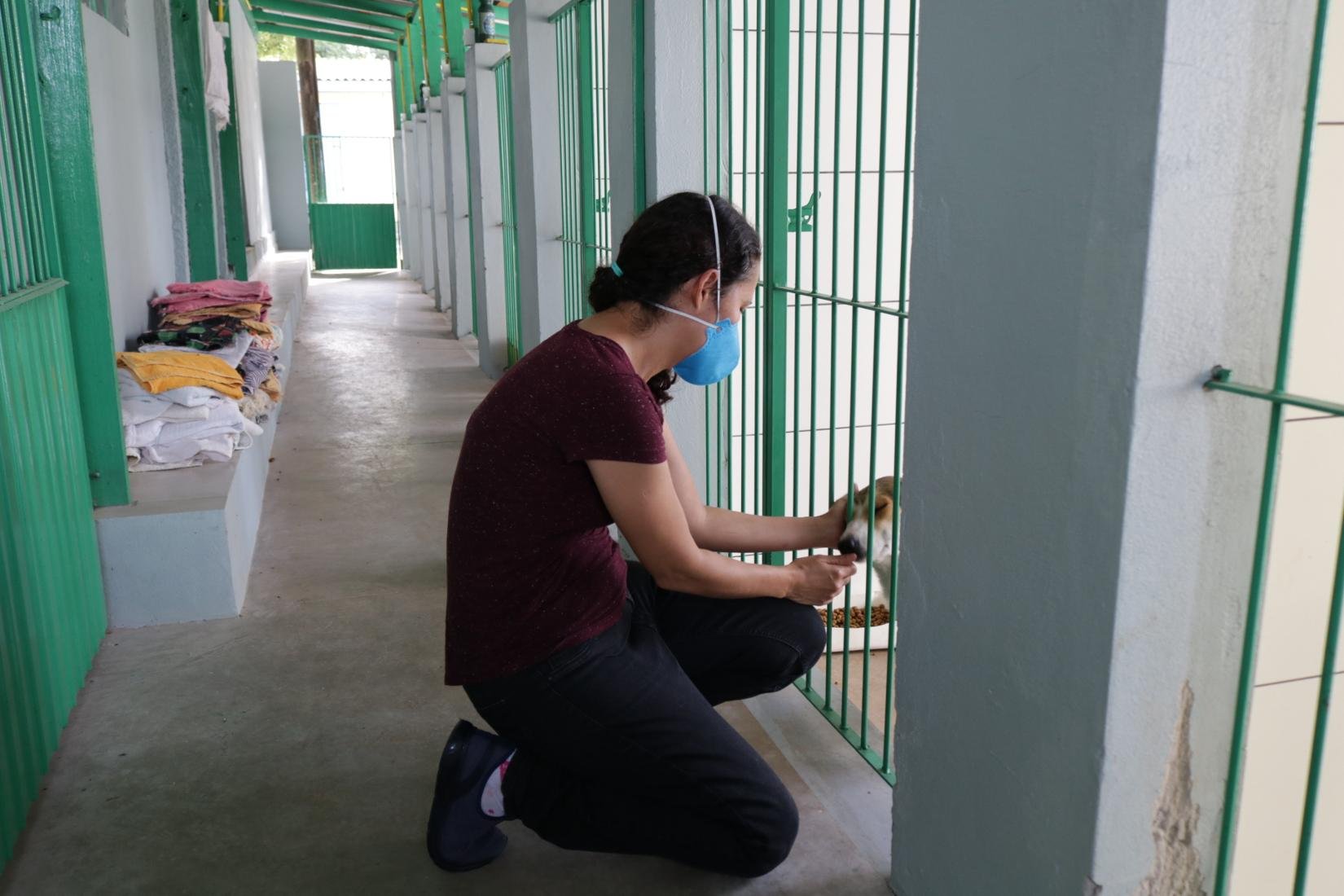 CCZ realiza um trabalho de acolhimento a c&atilde;es abandonados e v&iacute;timas de maus tratos