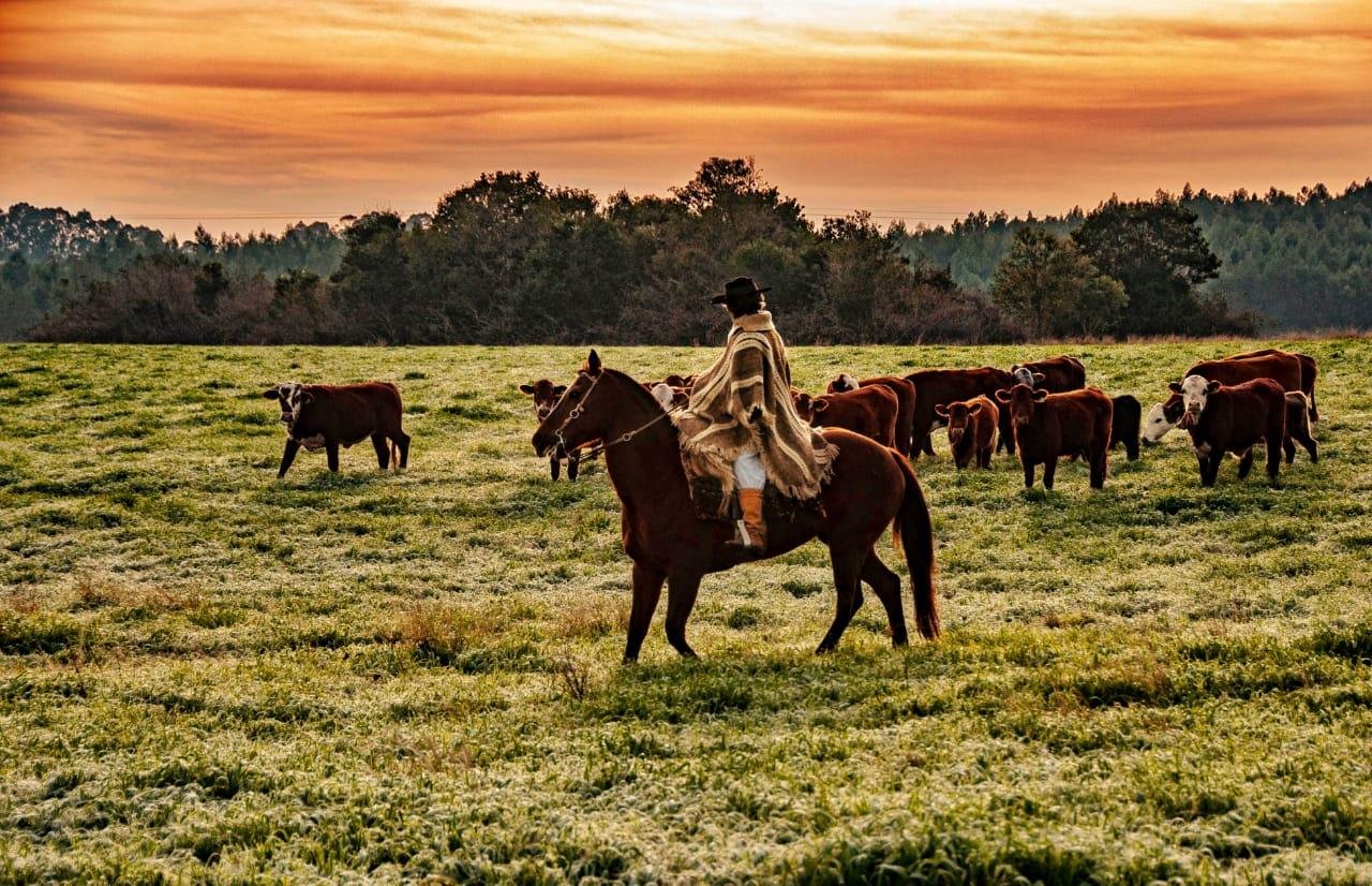 Rio Grande do Sul ter&aacute; dias de temperaturas baixas e menos chuvosos at&eacute; junho