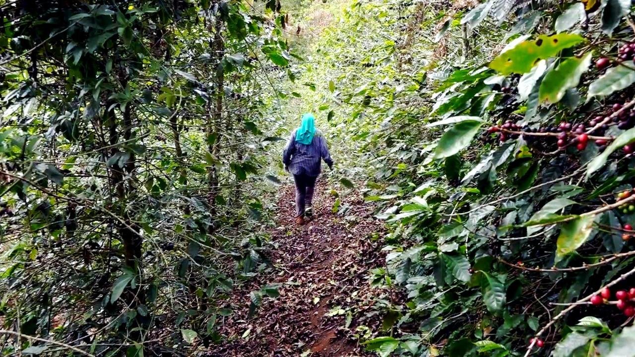 A reportagem finalista fala sobre a viol&ecirc;ncia sexual contra a mulher no campo