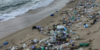 Foi coletada meia tonelada de lixo na litoral de Tibau do Sul