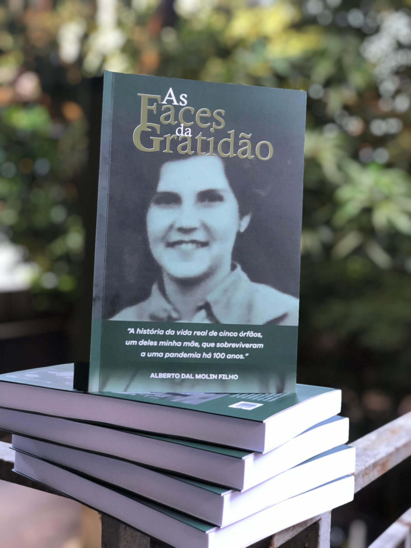 Autor narra a hist&oacute;ria real de supera&ccedil;&atilde;o de sua m&atilde;e Am&aacute;lia, desde o seu nascimento at&eacute; o final de sua vida.