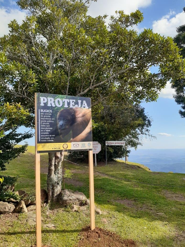 At&eacute; esta quinta-feira, foram aplicadas 858 vacinas da febre amarela na popula&ccedil;&atilde;o da cidade