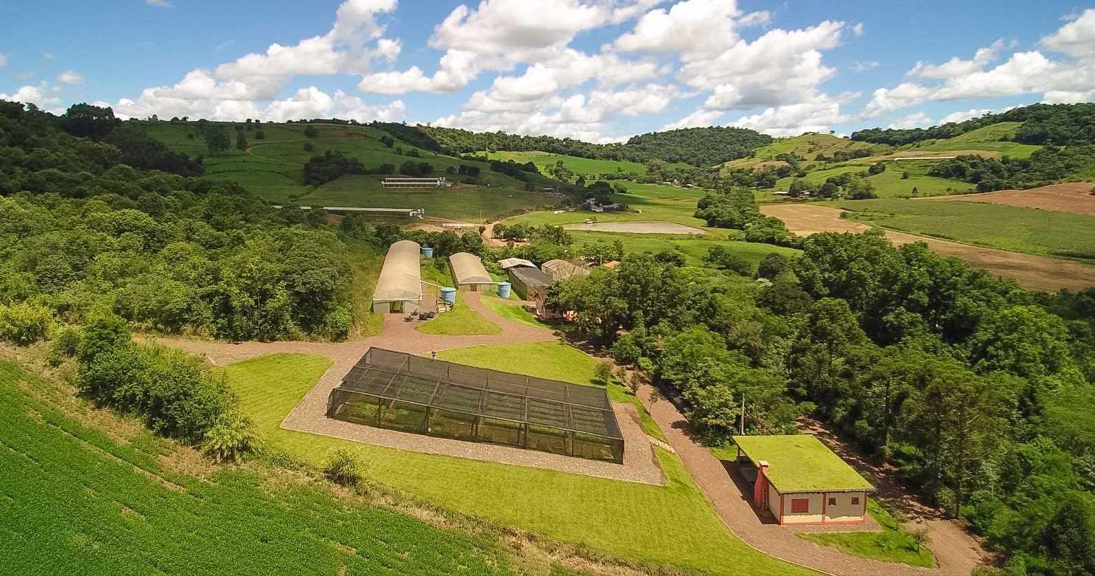 O Horto florestal da Creluz produz 50 esp&eacute;cies de &aacute;rvores nativas
