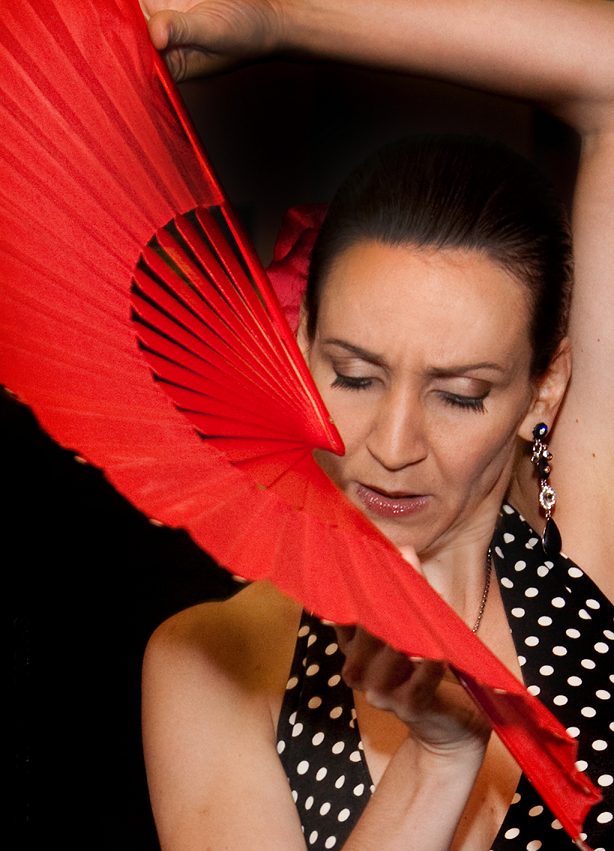 Bailaora S&iacute;lvia Canarin ser&aacute; uma das participantes, que ir&aacute; ministrar oficina virtual de Flamenco, nos dias 5 e 7 de julho, das 16h &agrave;s 18h, na cidade de Lajeado.