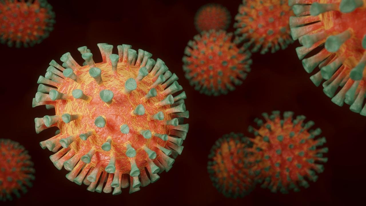 Pesquisa da USP constatou que o SARS-CoV-2 infecta e se replica em c&eacute;lulas das gl&acirc;ndulas salivares
