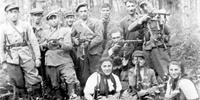 Os alemães queriam expulsar os insurgentes da Alta Silesia