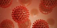 Laboratório de Microbiologia Molecular da Universidade Feevale, em Novo Hamburgo, identificou uma possível nova variante do coronavírus