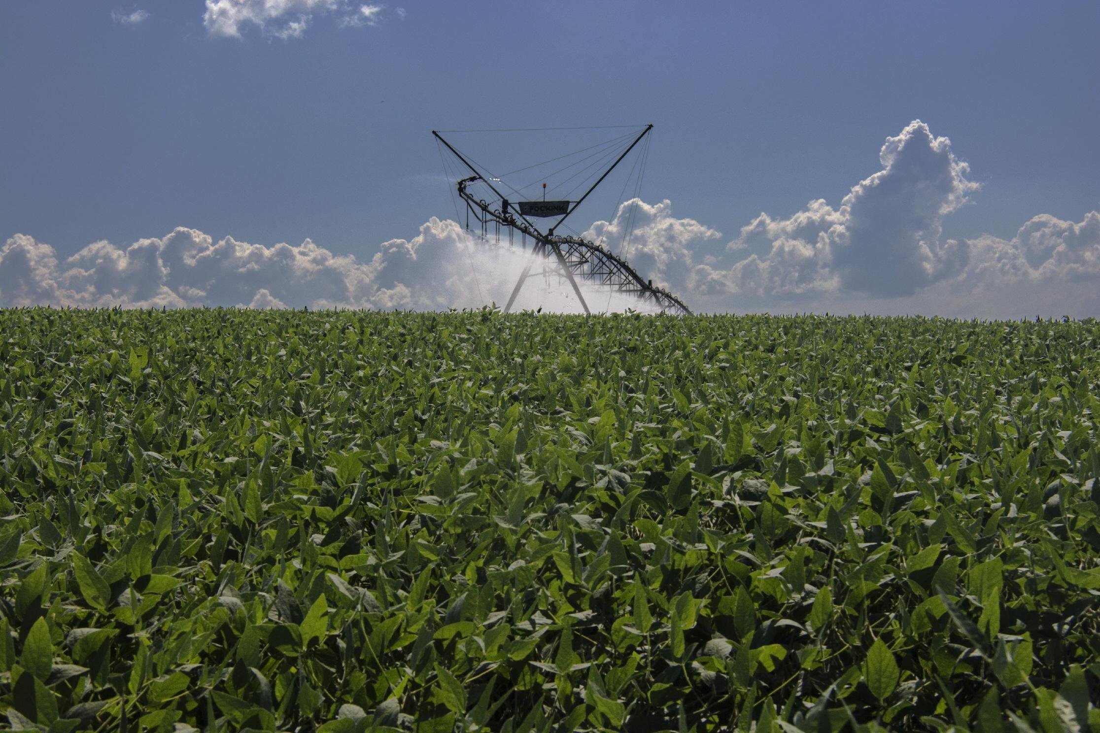 Plano Safra ampliou recursos para investimento em irriga&ccedil;&atilde;o