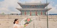 A mostra apresenta fotografias de palácios reais e da gastronomia coreana e obras de caligrafias coreanas, vestes típicas tradicionais (Hanbok) e vídeos