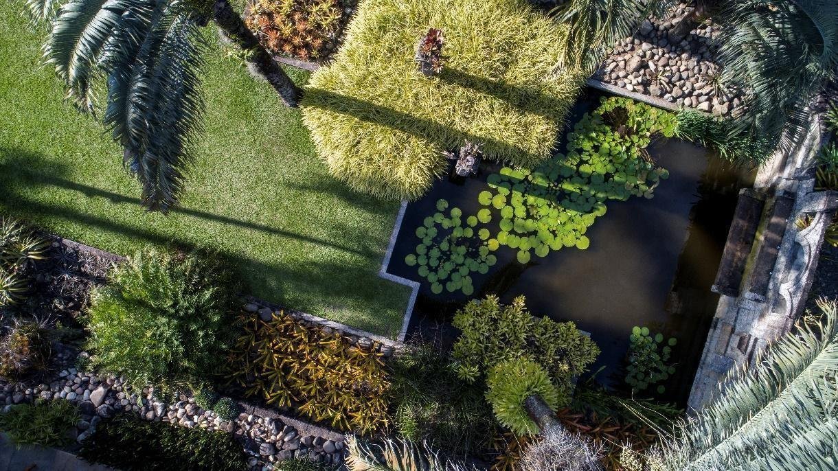 O S&iacute;tio abriga uma cole&ccedil;&atilde;o bot&acirc;nica com mais de 3.500 esp&eacute;cies de plantas tropicais e subtropicais, cultivada em viveiros e jardins