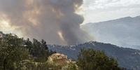 Incêndios declarados na região de Cabília, uma área arborizada e montanhosa densamente povoada, são agravados pela onda de calor na região